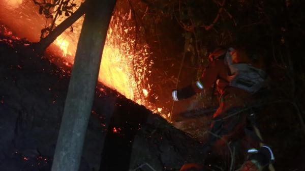 “以火攻火”！云南森林消防增援重庆阻击山火的10个瞬间让人泪目