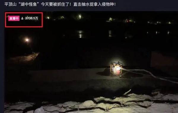 “水怪”抓到了 ！用一个月把湖水抽干，发现不止一条…