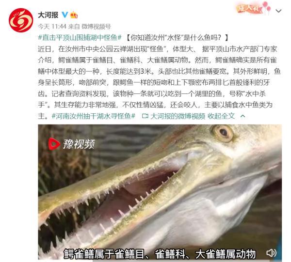 “水怪”抓到了 ！用一个月把湖水抽干，发现不止一条…