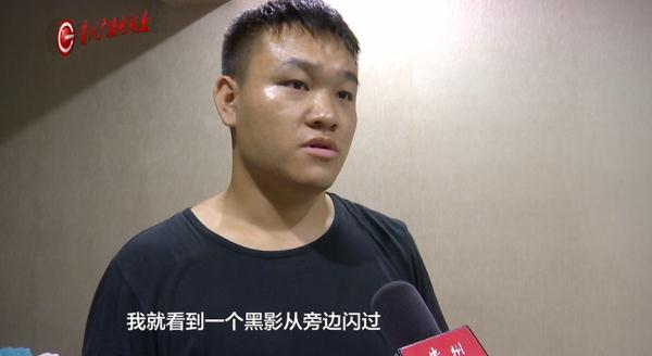 寻猫酬谢2000元，失主却临时反悔？贵阳小伙：她把我拉黑了