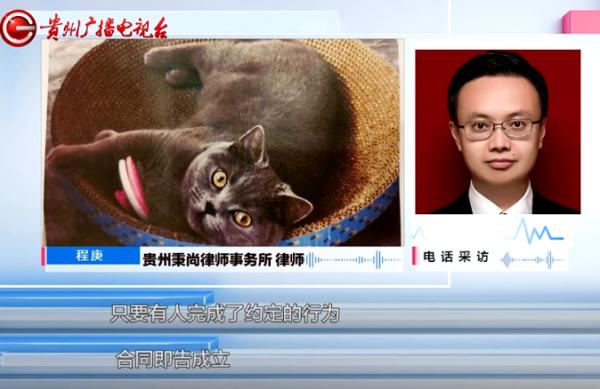 寻猫酬谢2000元，失主却临时反悔？贵阳小伙：她把我拉黑了