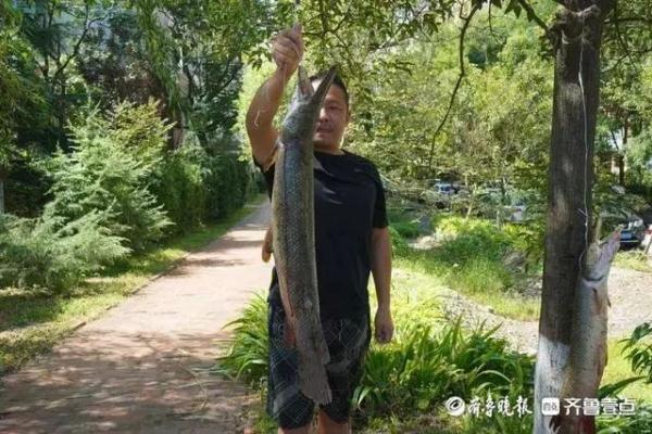 多地惊现！立即展开抓捕！