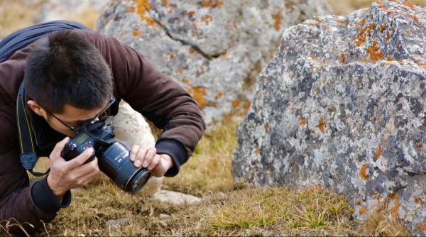80后大叔成“植物猎人”:钻进新疆戈壁峡谷,追寻地球上“消失的植物” 80后大叔成“植物猎人”:钻进新疆戈壁峡谷,追寻地球上“消失的植物”