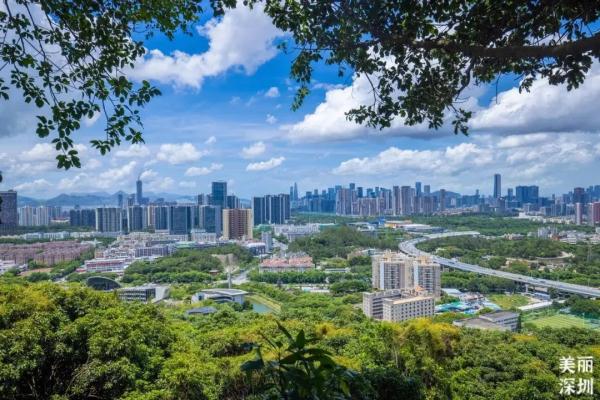 太美了！深圳首条山海通廊全线贯通