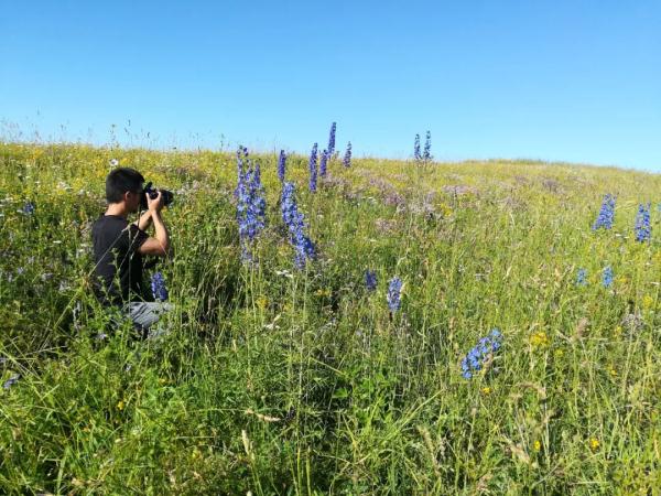 80后大叔成“植物猎人”:钻进新疆戈壁峡谷,追寻地球上“消失的植物” 80后大叔成“植物猎人”:钻进新疆戈壁峡谷,追寻地球上“消失的植物”