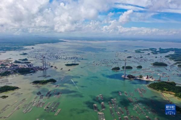 西部陸海新通道骨幹工程平陸運河開工建設