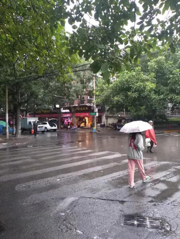 凉快！石家庄下雨了！下午继续降温……