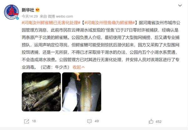 河南2条“怪鱼”已被无害化处理！网上还在卖？