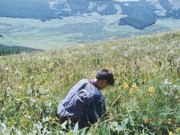 80后大叔成“植物猎人”:钻进新疆戈壁峡谷,追寻地球上“消失的植物” 80后大叔成“植物猎人”:钻进新疆戈壁峡谷,追寻地球上“消失的植物”