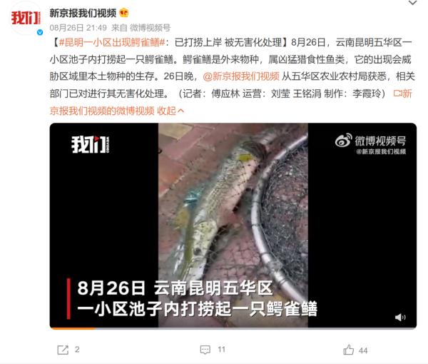 多地惊现！立即展开抓捕！