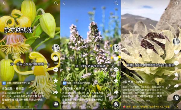 80后大叔成“植物猎人”:钻进新疆戈壁峡谷,追寻地球上“消失的植物” 80后大叔成“植物猎人”:钻进新疆戈壁峡谷,追寻地球上“消失的植物”