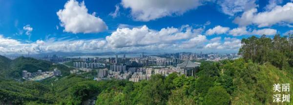 太美了！深圳首条山海通廊全线贯通