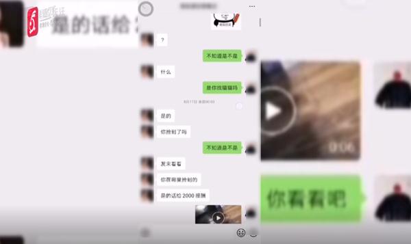 寻猫酬谢2000元，失主却临时反悔？贵阳小伙：她把我拉黑了