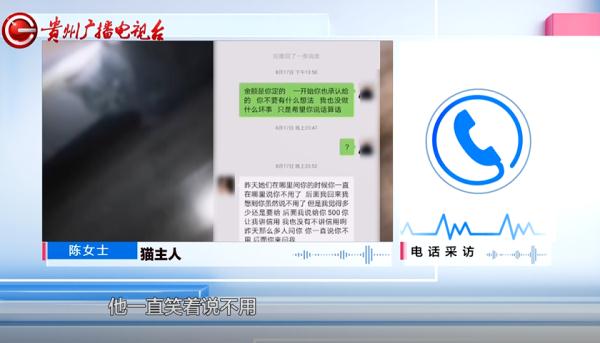 寻猫酬谢2000元，失主却临时反悔？贵阳小伙：她把我拉黑了