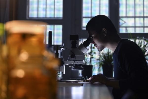 80后大叔成“植物猎人”:钻进新疆戈壁峡谷,追寻地球上“消失的植物” 80后大叔成“植物猎人”:钻进新疆戈壁峡谷,追寻地球上“消失的植物”