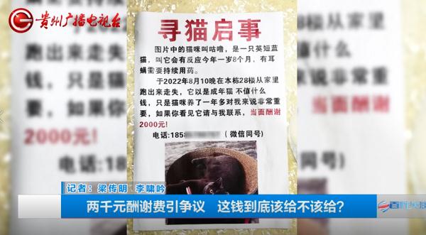 寻猫酬谢2000元，失主却临时反悔？贵阳小伙：她把我拉黑了