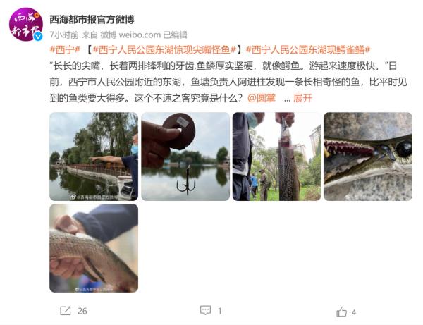多地惊现！立即展开抓捕！