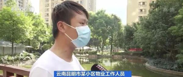 生性凶猛，有孩子被咬伤，还有剧毒……昆明一小区抽水抓“怪鱼”！