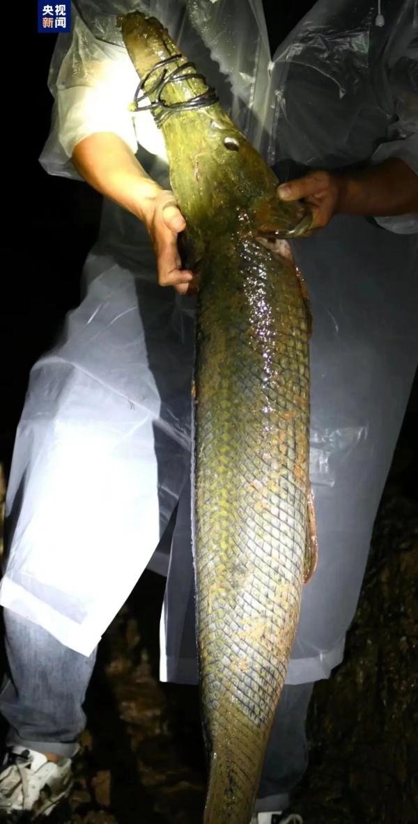 多地报告发现！紧急提醒：此物不能食用