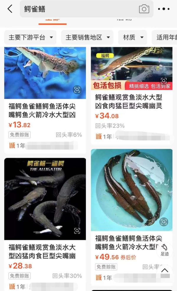多地紧急提醒，冲上热搜！这条“怪鱼”，曾在台州出现过