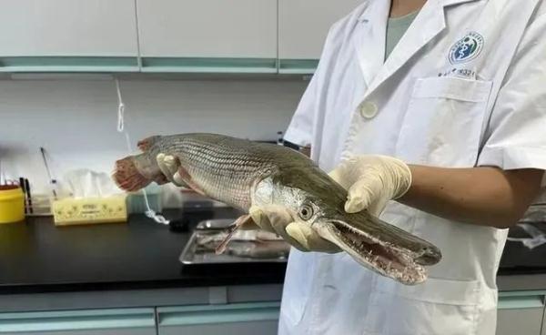 多地报告发现！紧急提醒：此物不能食用