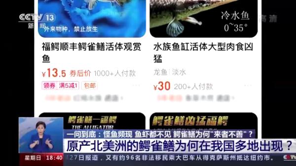 生性凶猛，有孩子被咬伤，还有剧毒……昆明一小区抽水抓“怪鱼”！