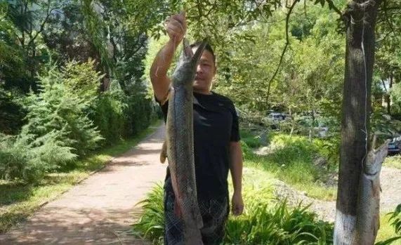 多地报告发现！紧急提醒：此物不能食用