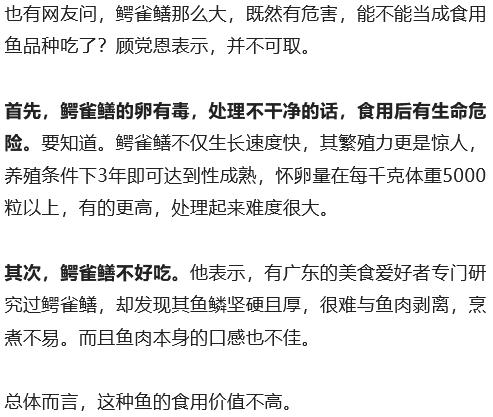 上海也有人钓到鳄雀鳝！为何要大动干戈捉它？幼鱼只要10元一条谁在卖？