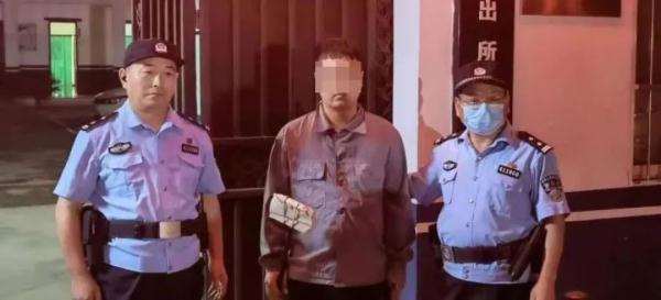 抓壁虎也违法？抓了115只后，他也被抓！