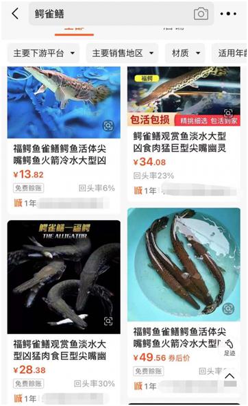 陕西沣惠渠现“怪鱼” ，警民排险原来是它...