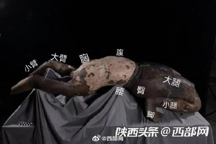 兵马俑配色太绝了 兵马俑配色太绝了