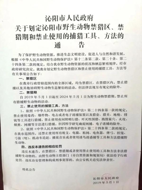 抓壁虎也违法？抓了115只后，他也被抓！