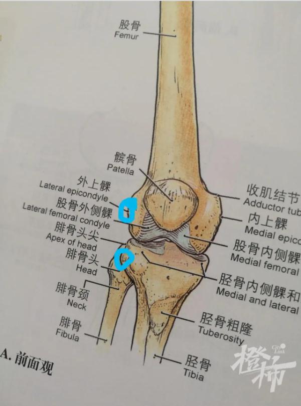 手术过程中发现少了一块骨头！关键时刻，他出手了！