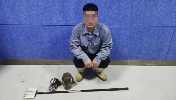 抓壁虎也违法？抓了115只后，他也被抓！