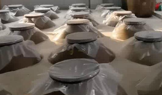 母女吃完自制的老坛酸菜,双双被送进ICU 母女吃完自制的老坛酸菜,双双被送进ICU