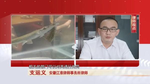 怪鱼多地出现，合肥市场能买到吗？记者探访...