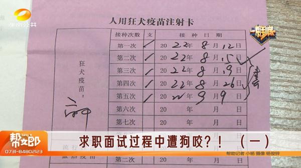 女子面试中被公司宠物狗咬伤?公司:她主动逗狗 女子面试中被公司宠物狗咬伤?公司:她主动逗狗