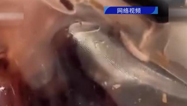 茶包喝出多条虫子？蜜雪冰城回应