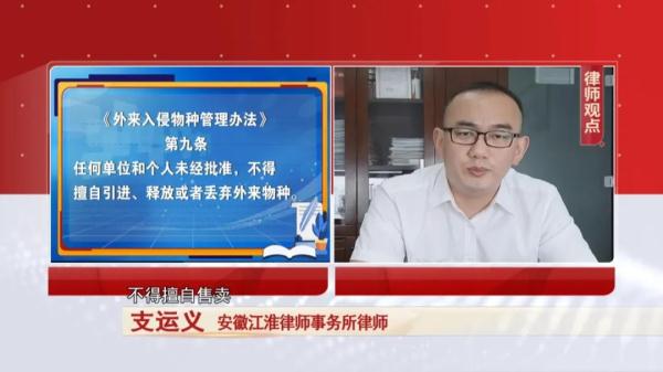 怪鱼多地出现，合肥市场能买到吗？记者探访...