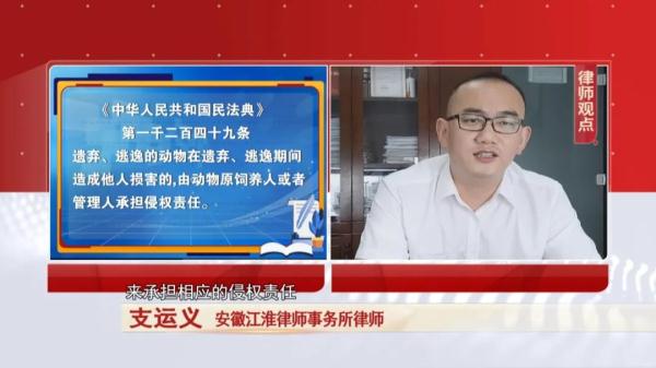 怪鱼多地出现，合肥市场能买到吗？记者探访...