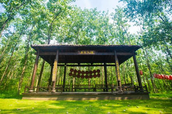 4条!合肥秋季旅游公交专线来啦! 4条!合肥秋季旅游公交专线来啦!