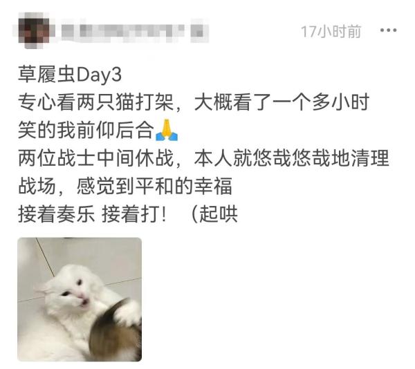 24岁，注意力困难症，她想当只草履虫