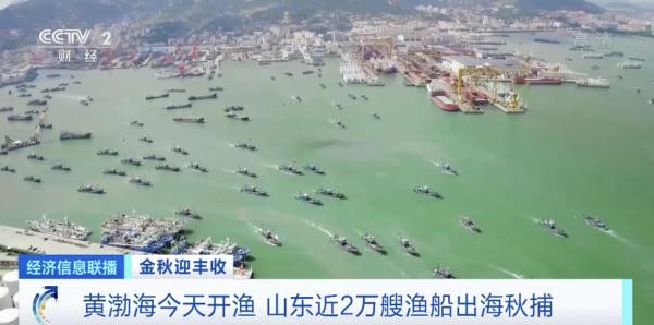 近2万艘渔船出海!螃蟹、虾虎、蛎虾…都要来了! 近2万艘渔船出海!螃蟹、虾虎、蛎虾…都要来了!
