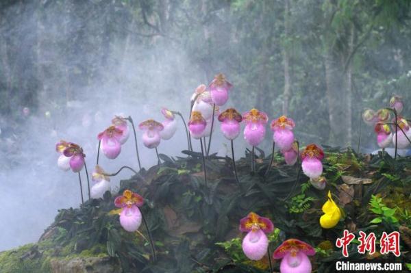 广西生物多样性丰富度居全国第三