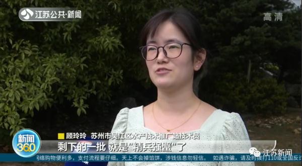 大闸蟹还来得及爬上中秋的饭桌吗？在努力蜕壳了！