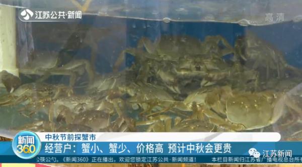 大闸蟹还来得及爬上中秋的饭桌吗？在努力蜕壳了！