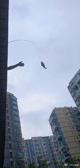 成都一男子在4楼阳台钓鱼