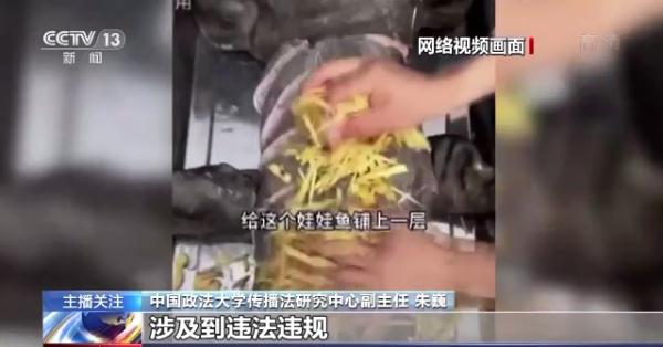 烹食大白鲨、“水母雪兔子”煮泡面，如何刹住猎奇式吃播？