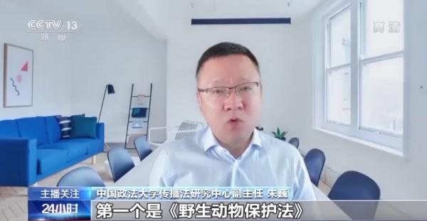 烹食大白鲨、“水母雪兔子”煮泡面，如何刹住猎奇式吃播？