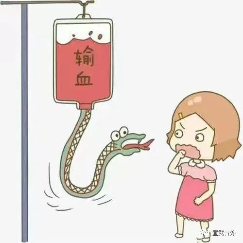 输血的图片女生动漫图图片